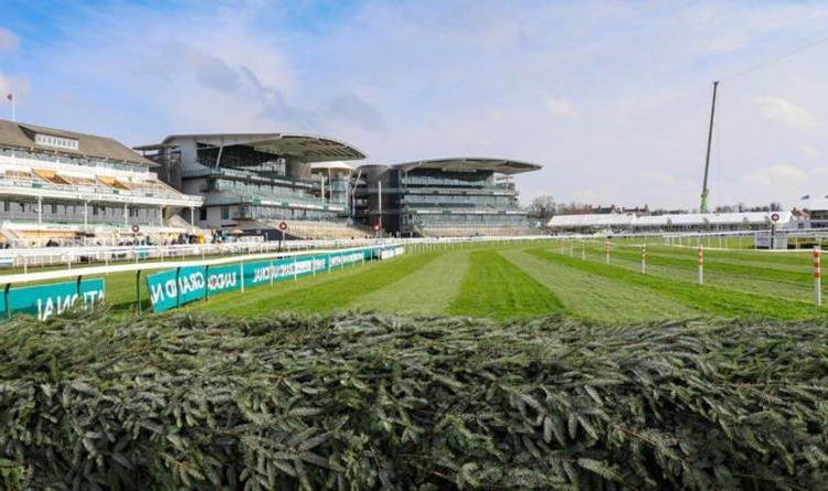 Pronostic Quinté du jour du Samedi 16 novembre 2024 à AUTEUIL dans le prix count schomberg