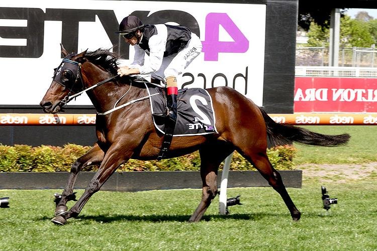 Pronostic Quinté du jour du Dimanche 19 avril 2026 à LA CEPIERE dans le prix de monfort