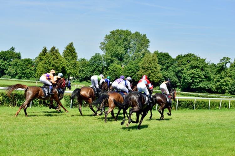 Pronostic Quinté du jour du Dimanche 17 novembre 2024 à VINCENNES dans le prix de bretagne-amerique races q1