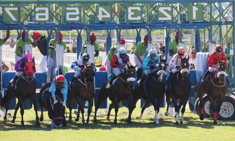 Pronostic Quinté du jour du Mercredi 20 novembre 2024 à LA CEPIERE dans le grand national du trot