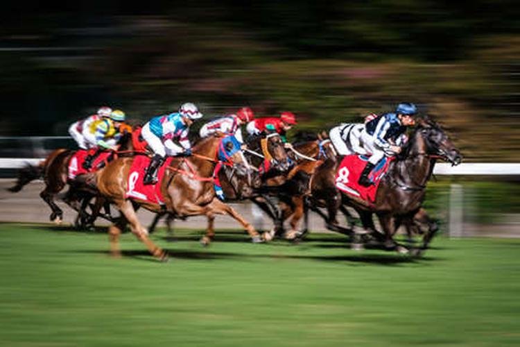 Pronostic Quinté du jour du Lundi 14 octobre 2024 à SAINT-CLOUD dans le prix des landes