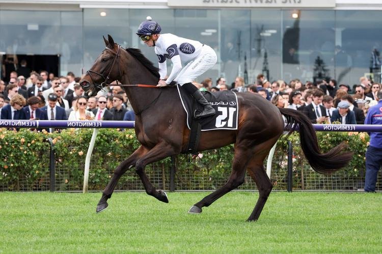 Pronostic Quinté du jour du Mercredi 13 novembre 2024 à MAUQUENCHY dans le prix jacques brion